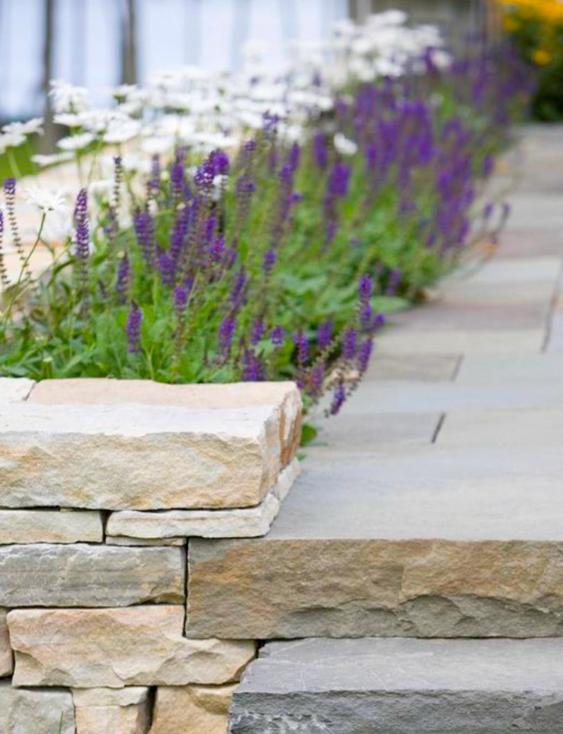Stone walkway with a low stone wall and a flower bed of purple and white flowers.