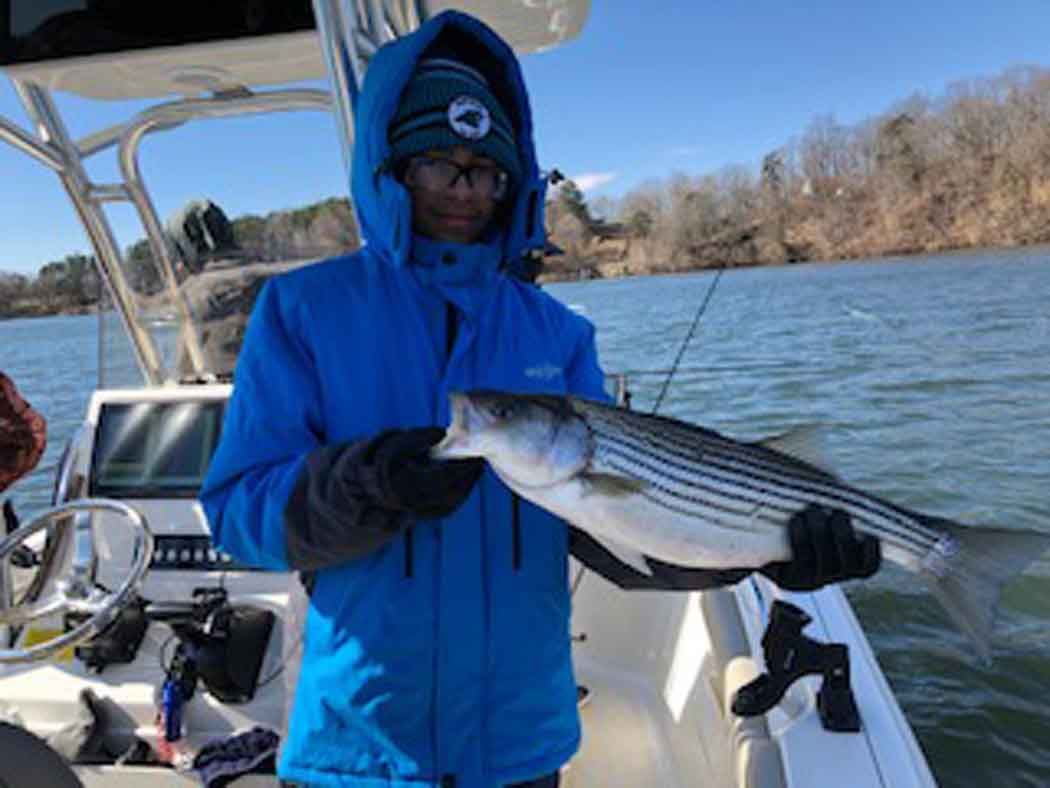 Person on a boat holding a striped fish on a sunny lake