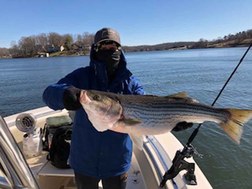 Person on a boat holding a large striped fish on a lake