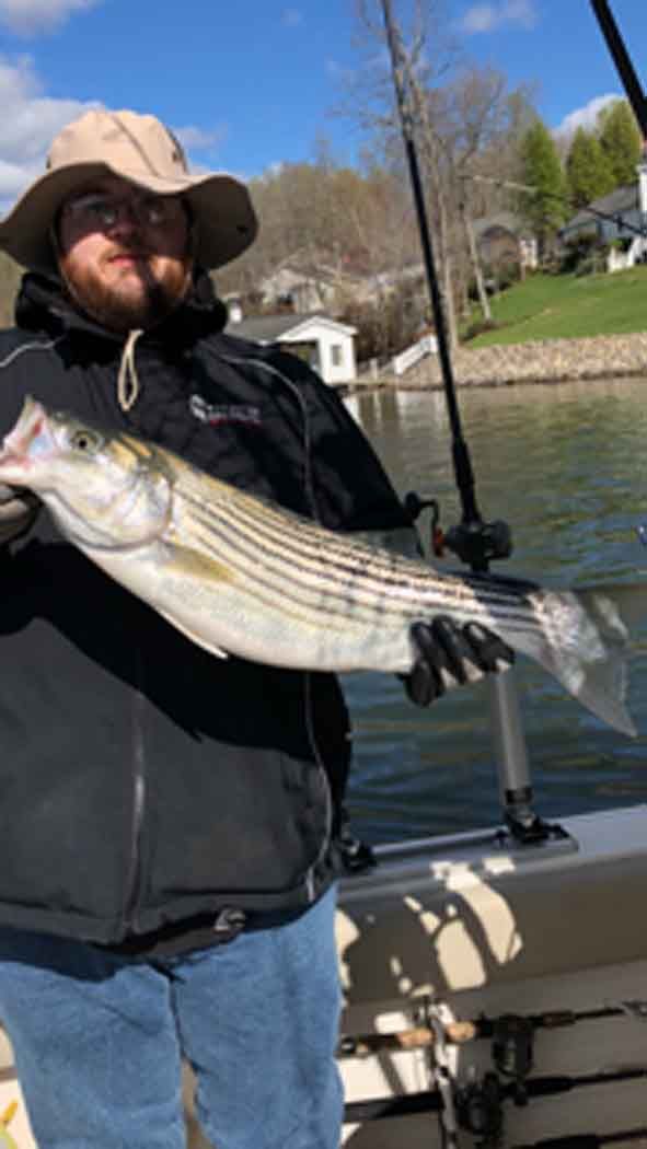 Person on a boat holding a large striped fish, with a fishing rod and calm water in the background.