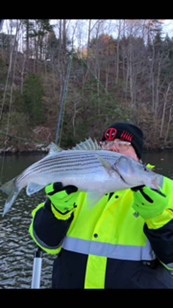 Person in a neon jacket and red cap holding a large fish outdoors by a wooded riverbank.