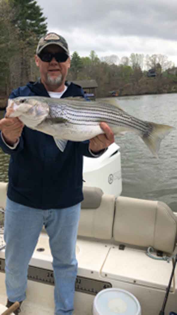 Man on a boat holding a large striped fish on a cloudy lake.