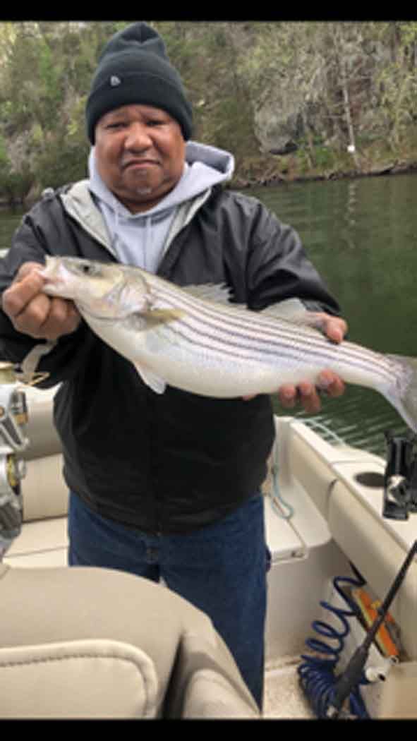 Man on a boat holding a large striped fish over the water, wearing a black beanie and jacket.