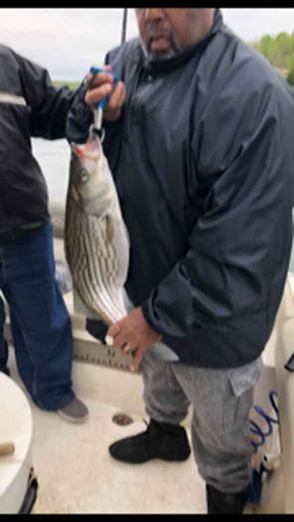 Person in a dark jacket holds up a large striped fish on a boat.