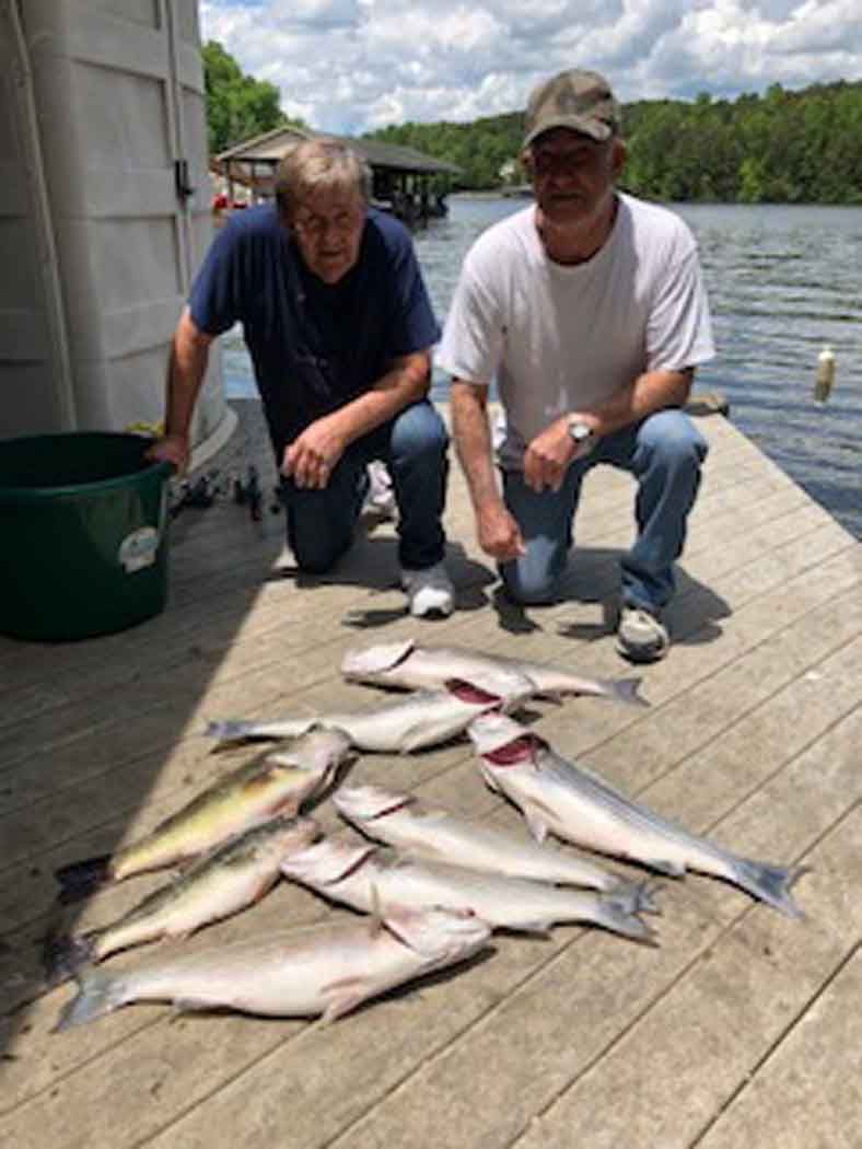 Two people crouch beside a pile of caught fish on a dock by the water.
