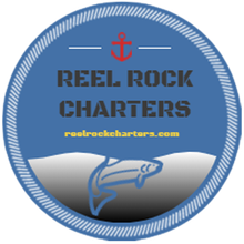 Reel Rock Charters logo with blue circle, red anchor, fish, and website text
