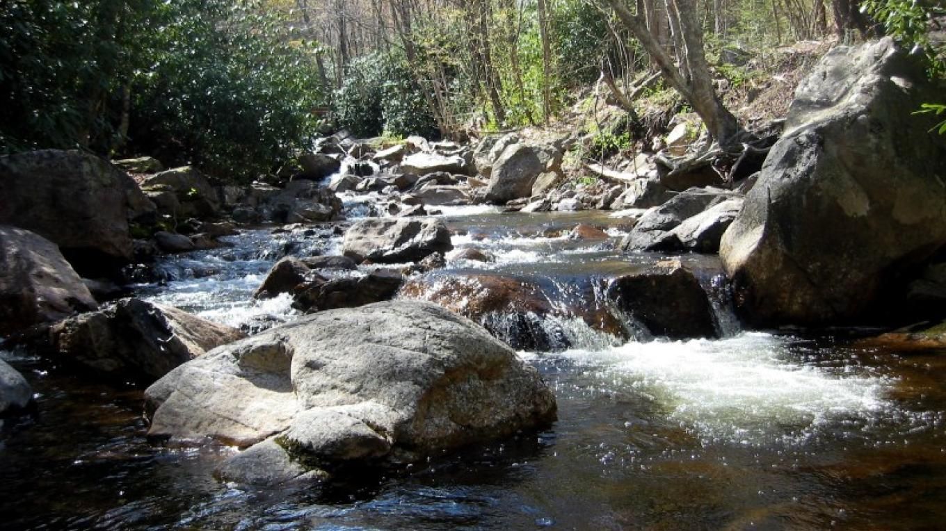A rocky stream flows through a forest, the water cascading over boulders.