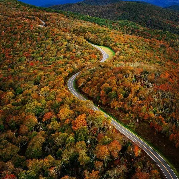 Winding road through colorful autumn forest.