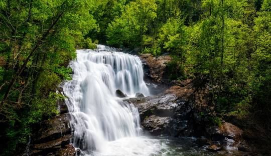 Waterfall cascading down rocks surrounded by lush green trees.