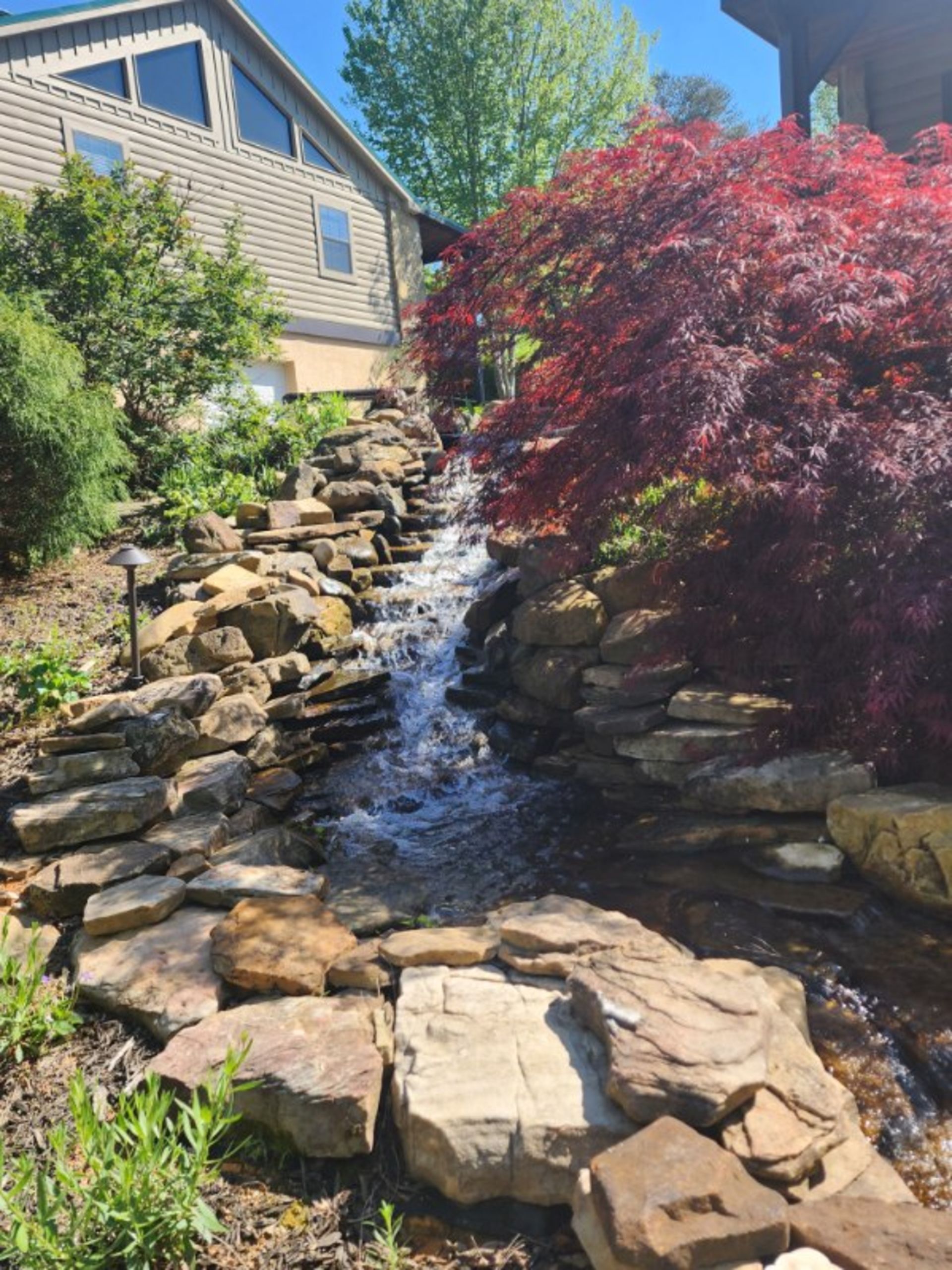 A water feature cascades down a stone-lined hillside, beside a house and a red Japanese maple tree.