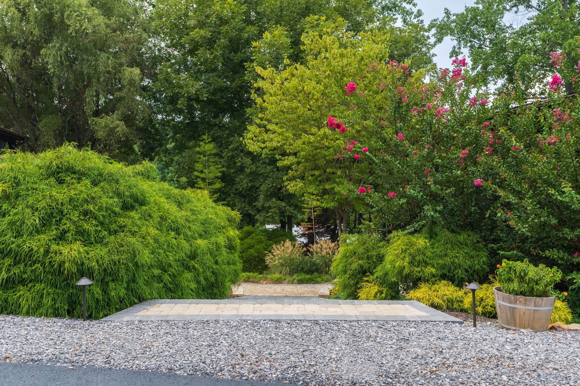 Stone path leading to trees and shrubs, including one with pink flowers.