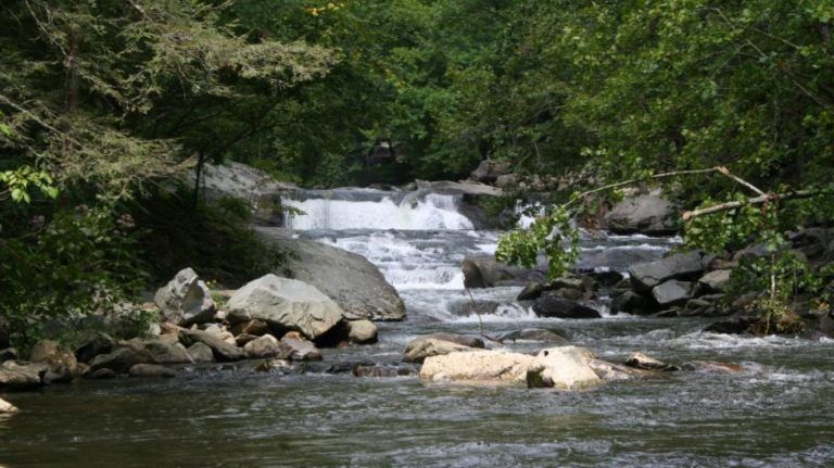 River cascading over rocks, surrounded by lush green trees.