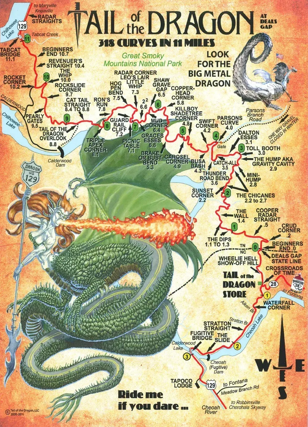 Map of the Tail of the Dragon road, showing 318 curves in 11 miles, depicted as a dragon.