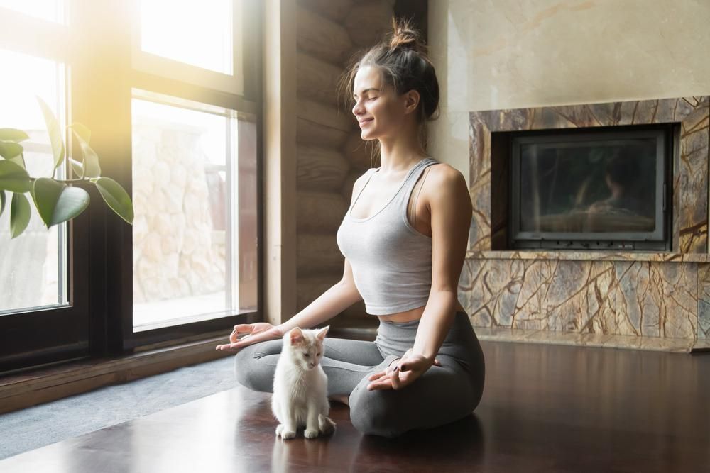 A Woman Is Sitting On The Floor In A Lotus Position With A Cat — Trinity Family Chiropractic In Cairns, QLD