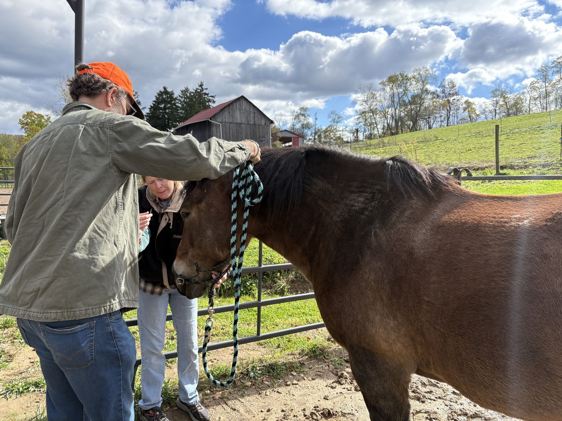 Two people petting a brown horse in a fenced area on a sunny day.
