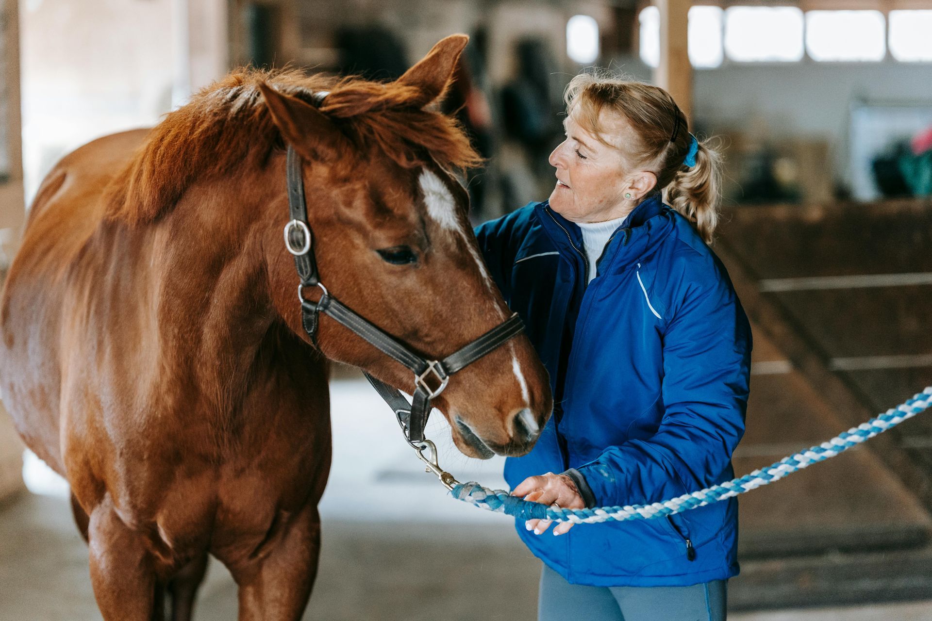A woman in a blue jacket is petting a brown horse.