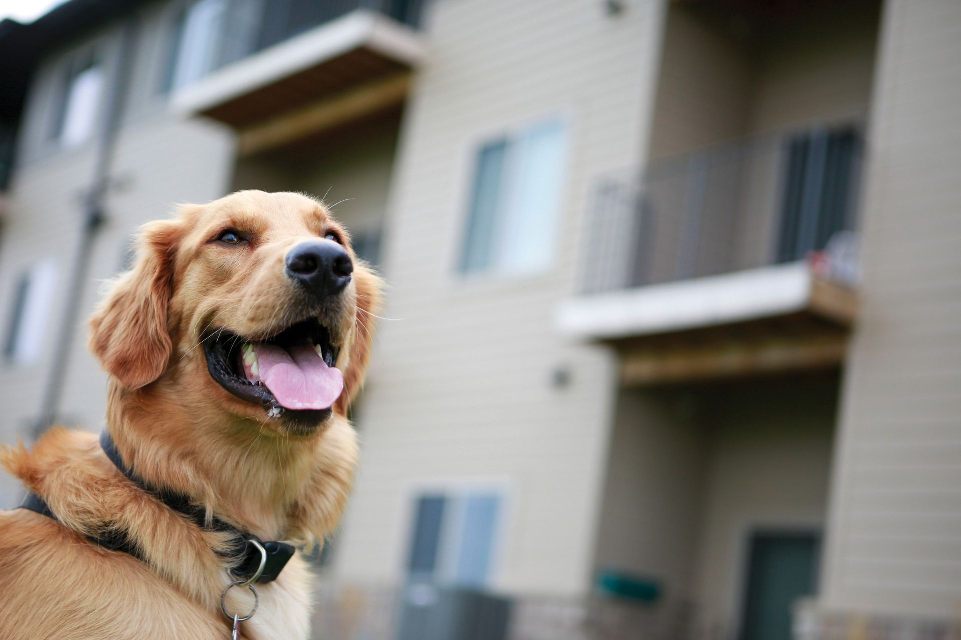 Sterling Apartments Kearney NE
