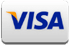 A visa logo is shown on a white background.