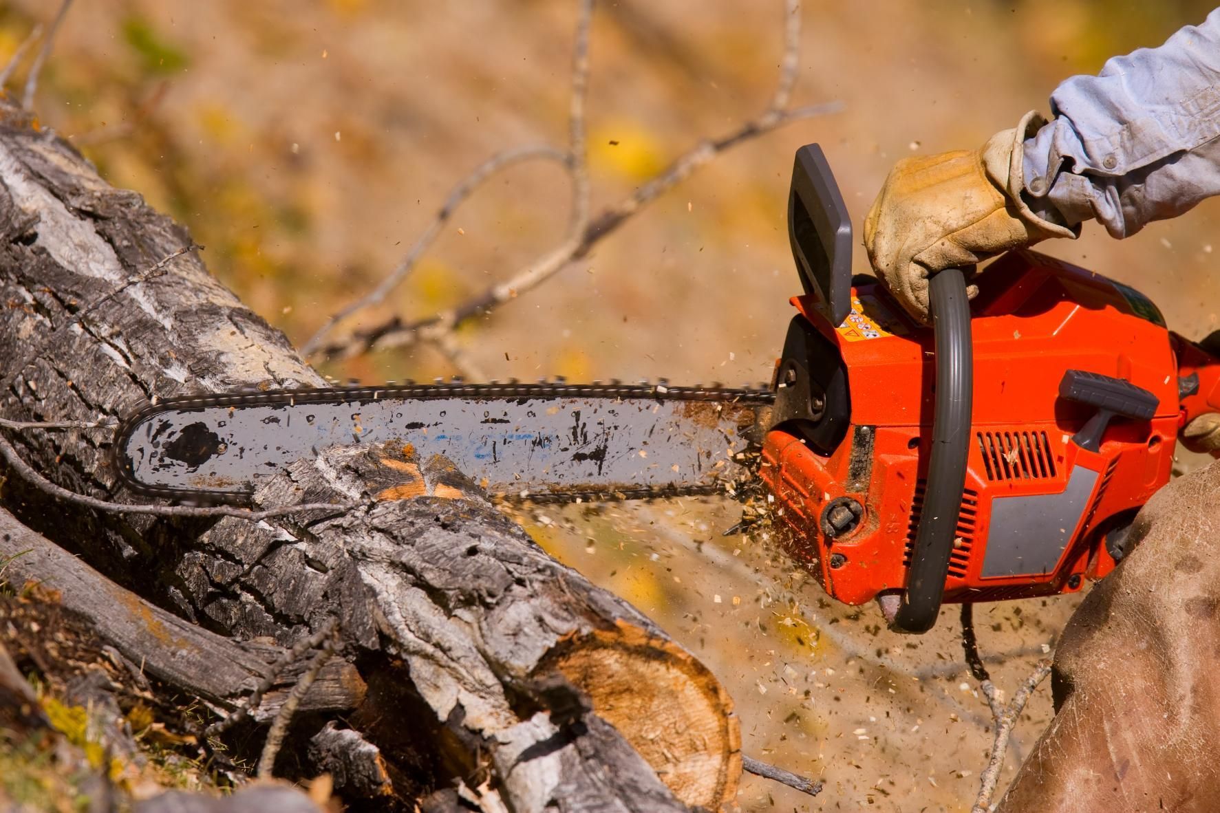 Orange chainsaw cutting a log outdoors, with wood chips flying.