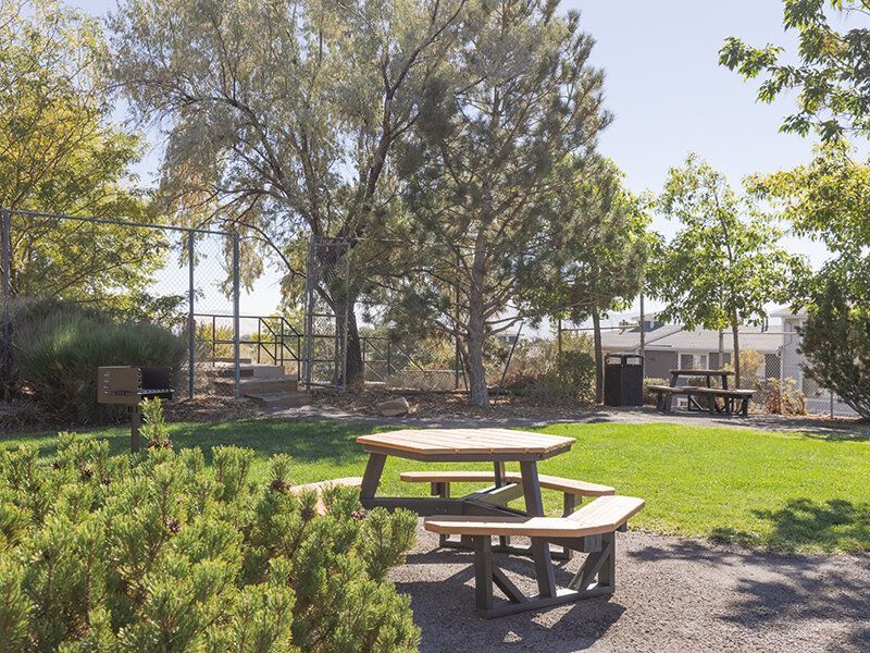 Outdoor community park with a wooden picnic table, grill, and trees.