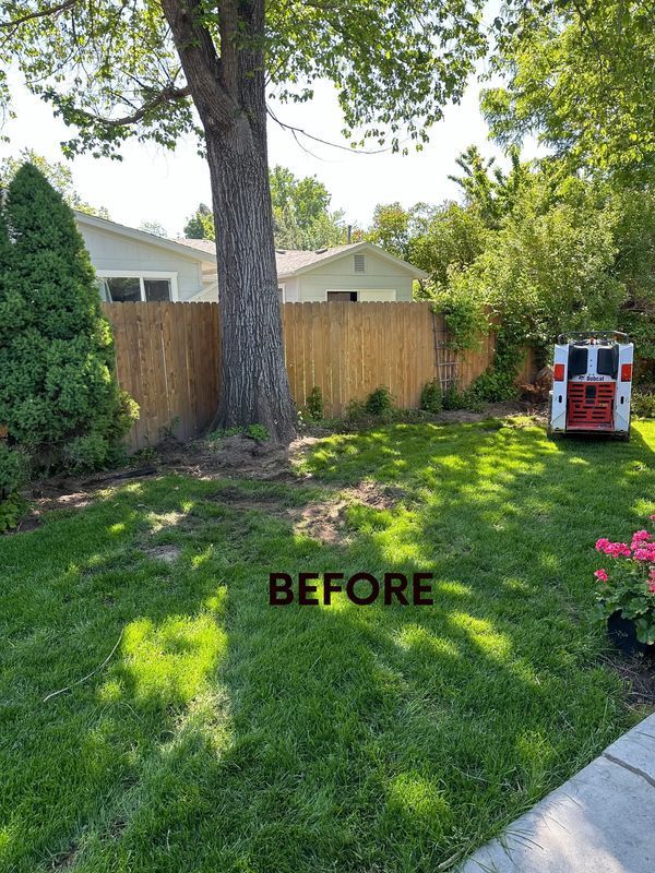 A before picture of a backyard with a wooden fence and a tree.