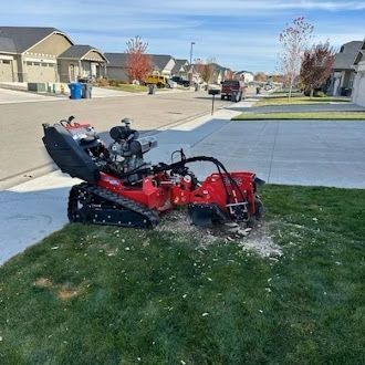A red stump grinder is sitting on top of a lush green lawn.