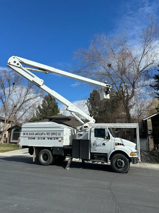 A white truck with a crane on top of it is parked on the side of the road.