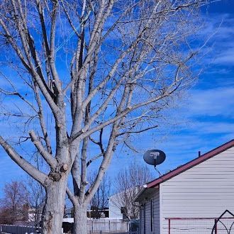 A house with a satellite dish on the roof and a tree in front of it.