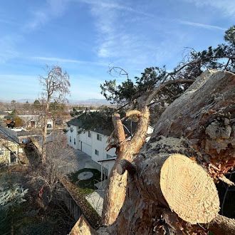 A large tree stump is sitting in front of a house.