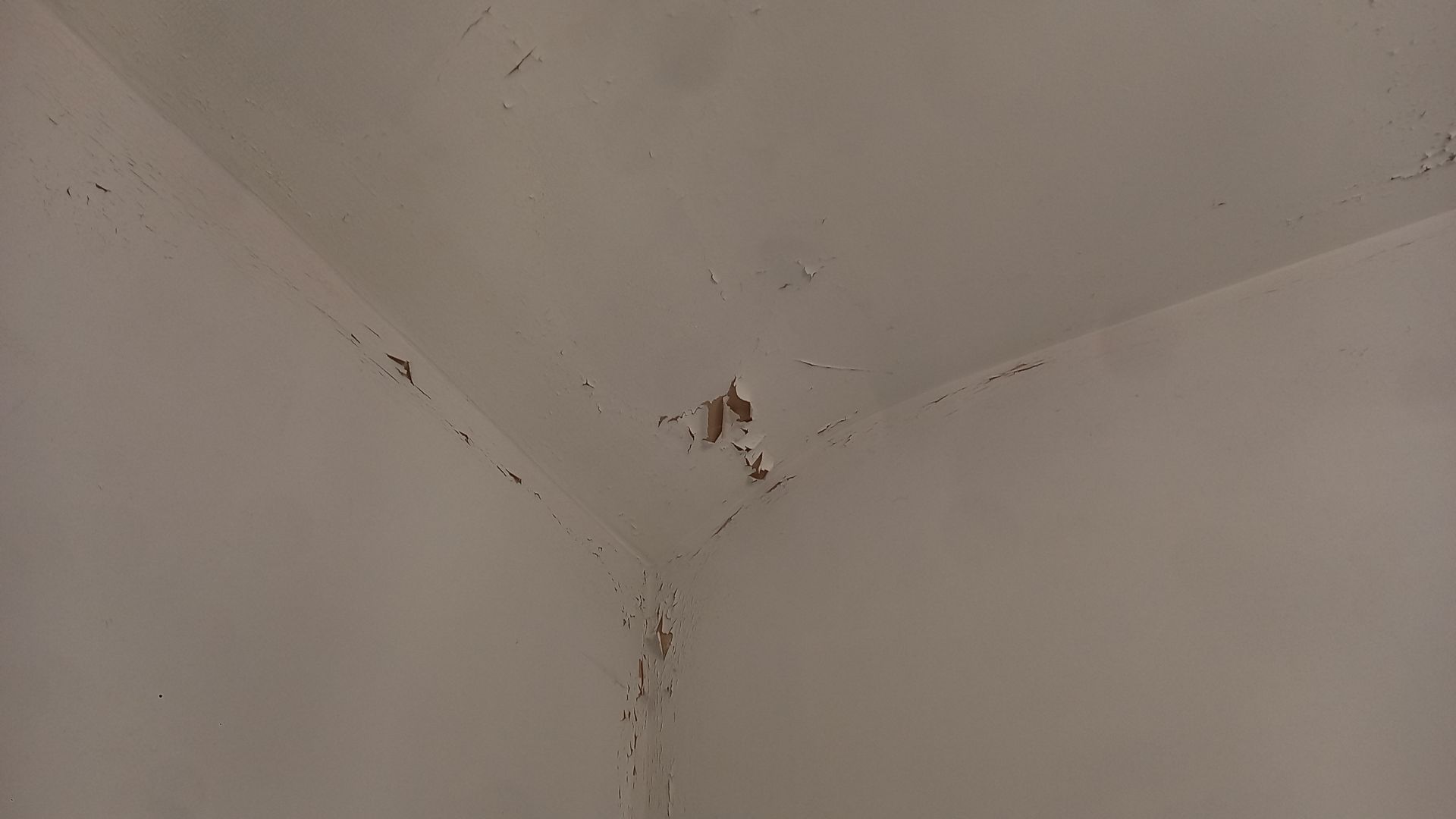 Flaking paint on bathroom ceiling due to poor previous application – unstable layers rubbed back and prepared for sealing