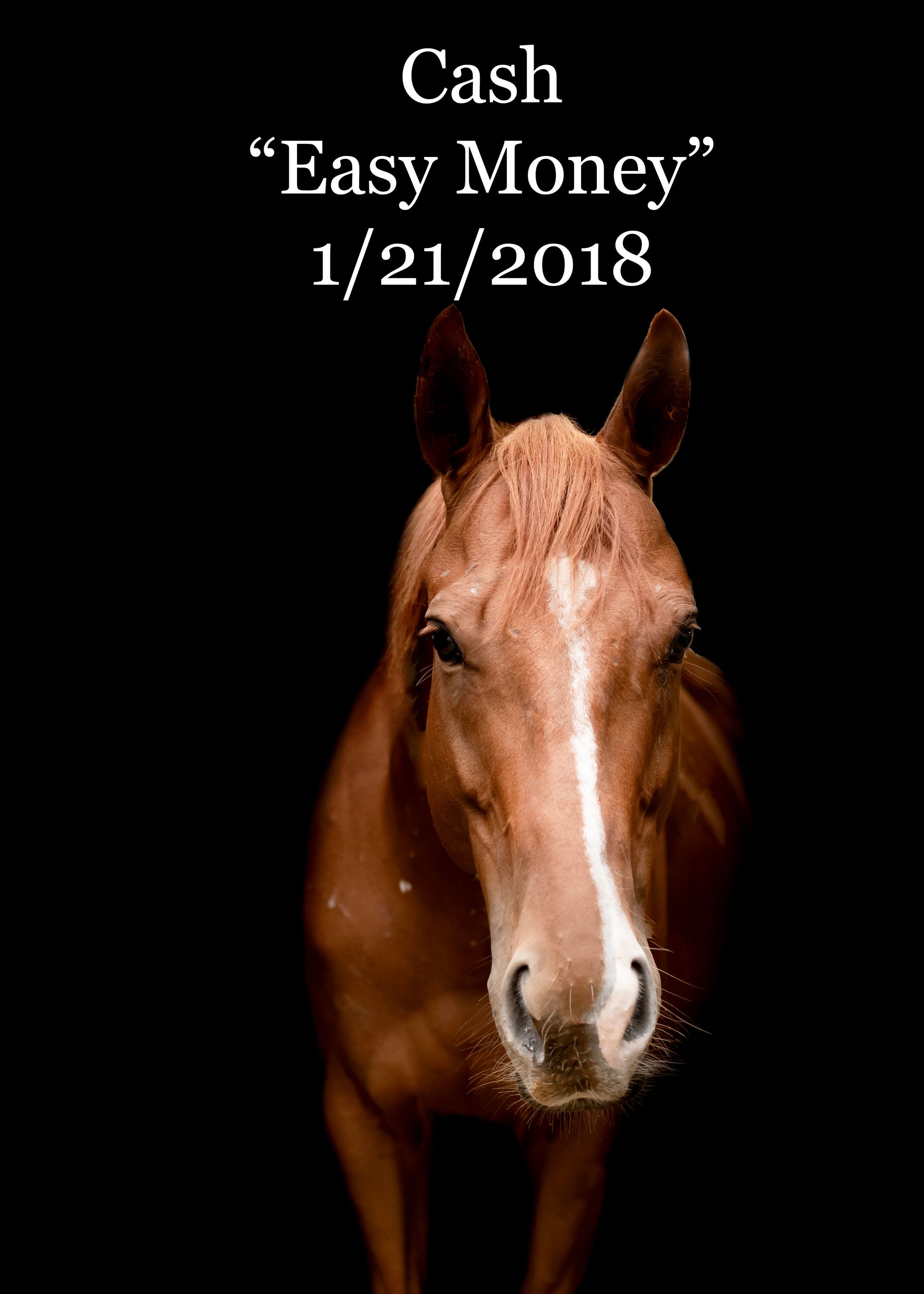 A brown horse is standing in front of a black background that says cash easy money 1/21/2018