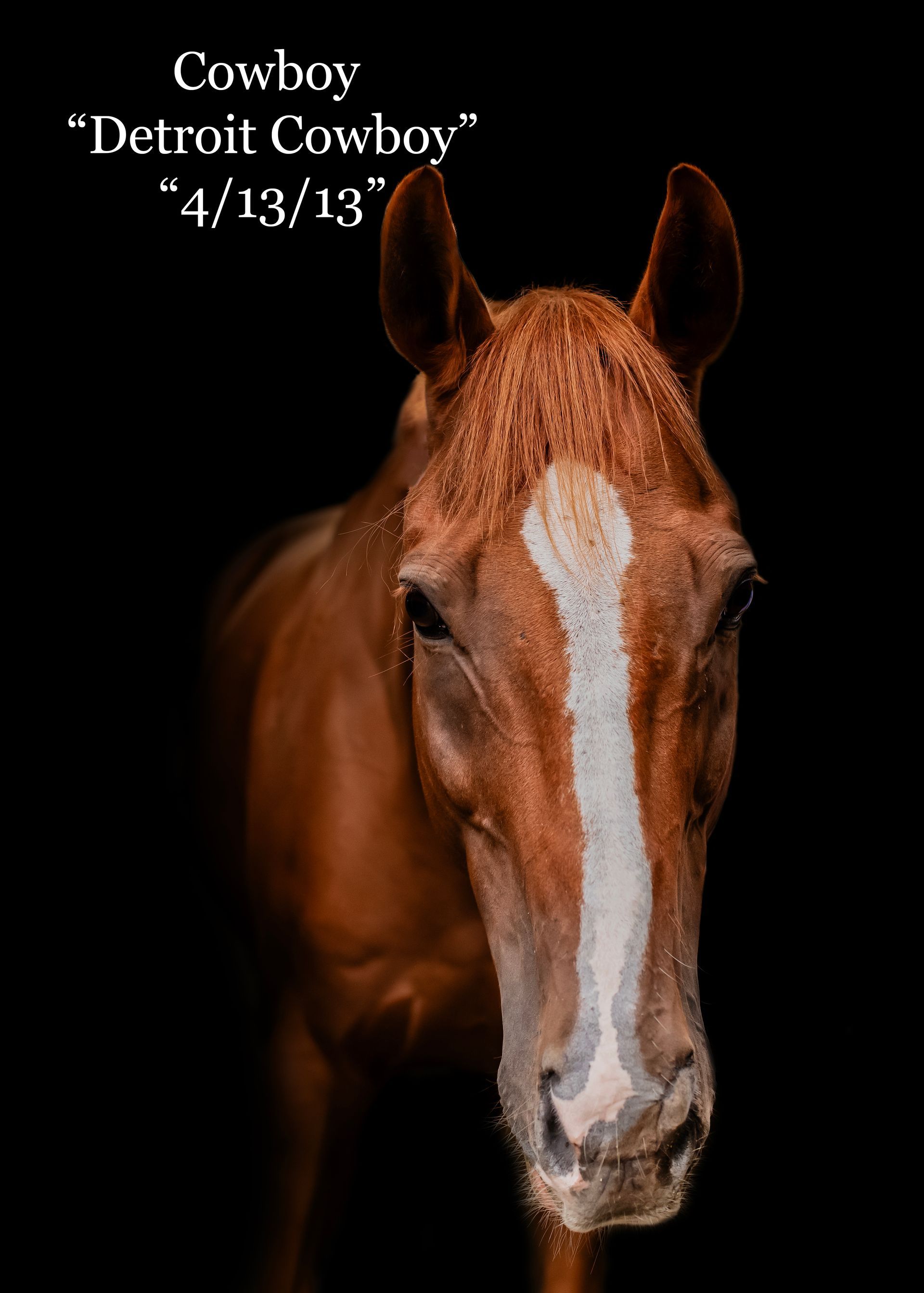 A brown horse with a white stripe on its forehead