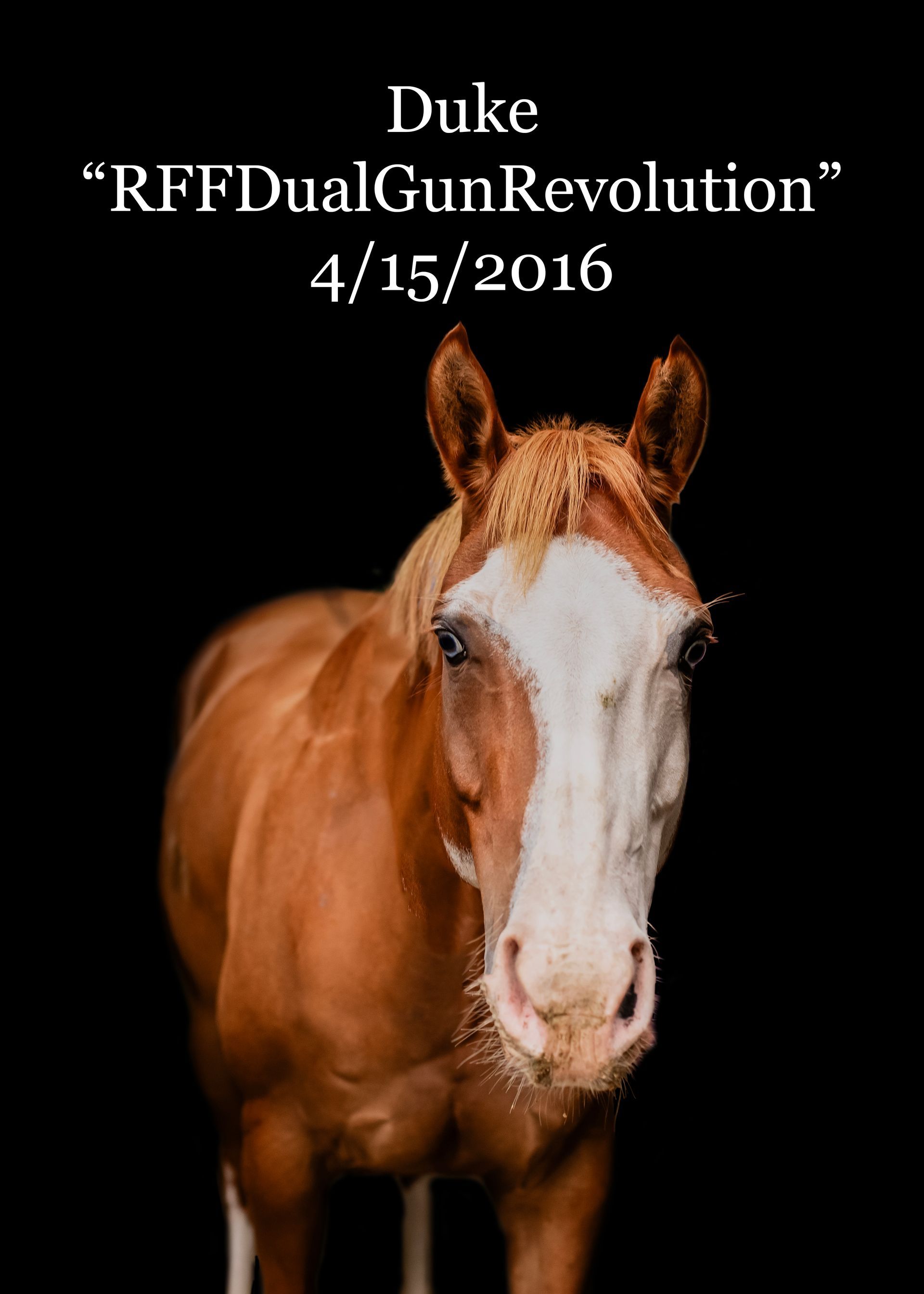 A brown and white horse is standing in front of a black background.