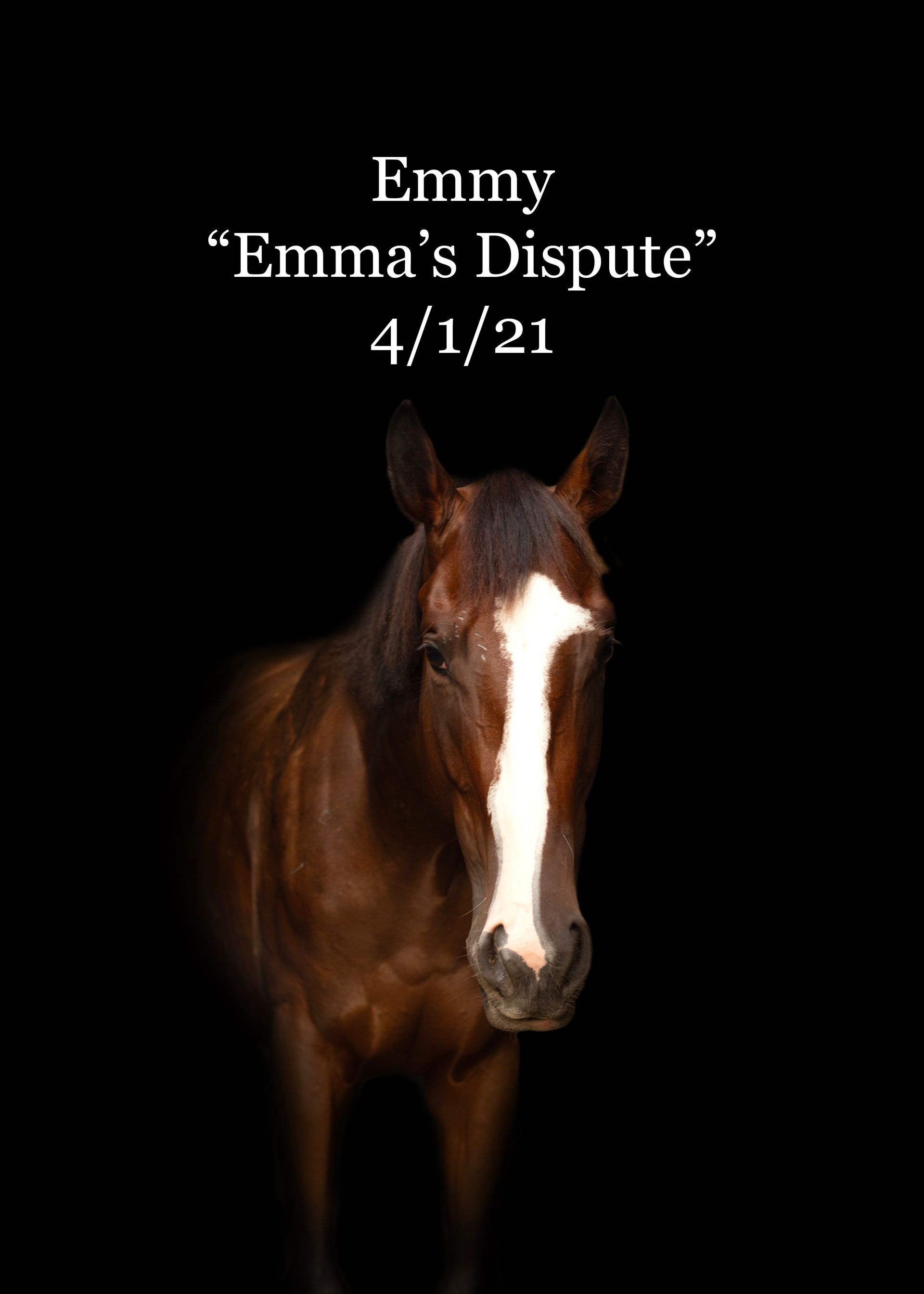 A brown horse with a white spot on its nose is standing in front of a black background.