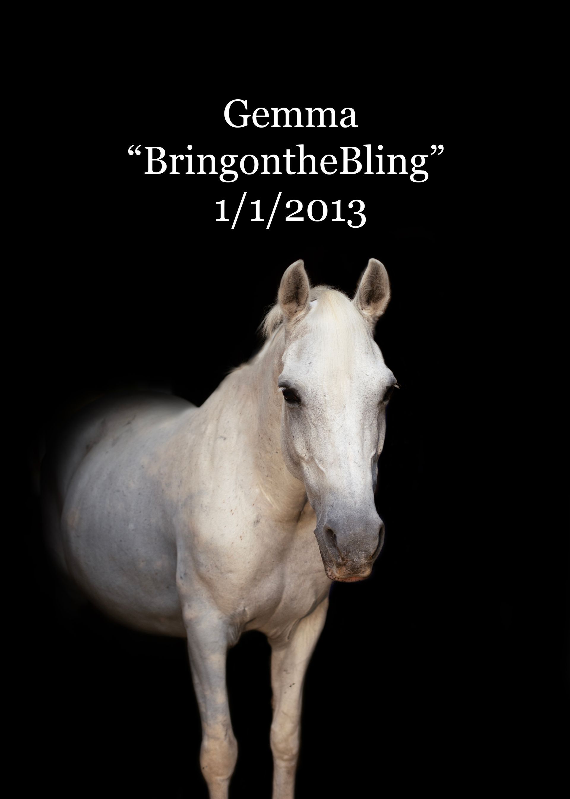 A white horse with the name gemma on it