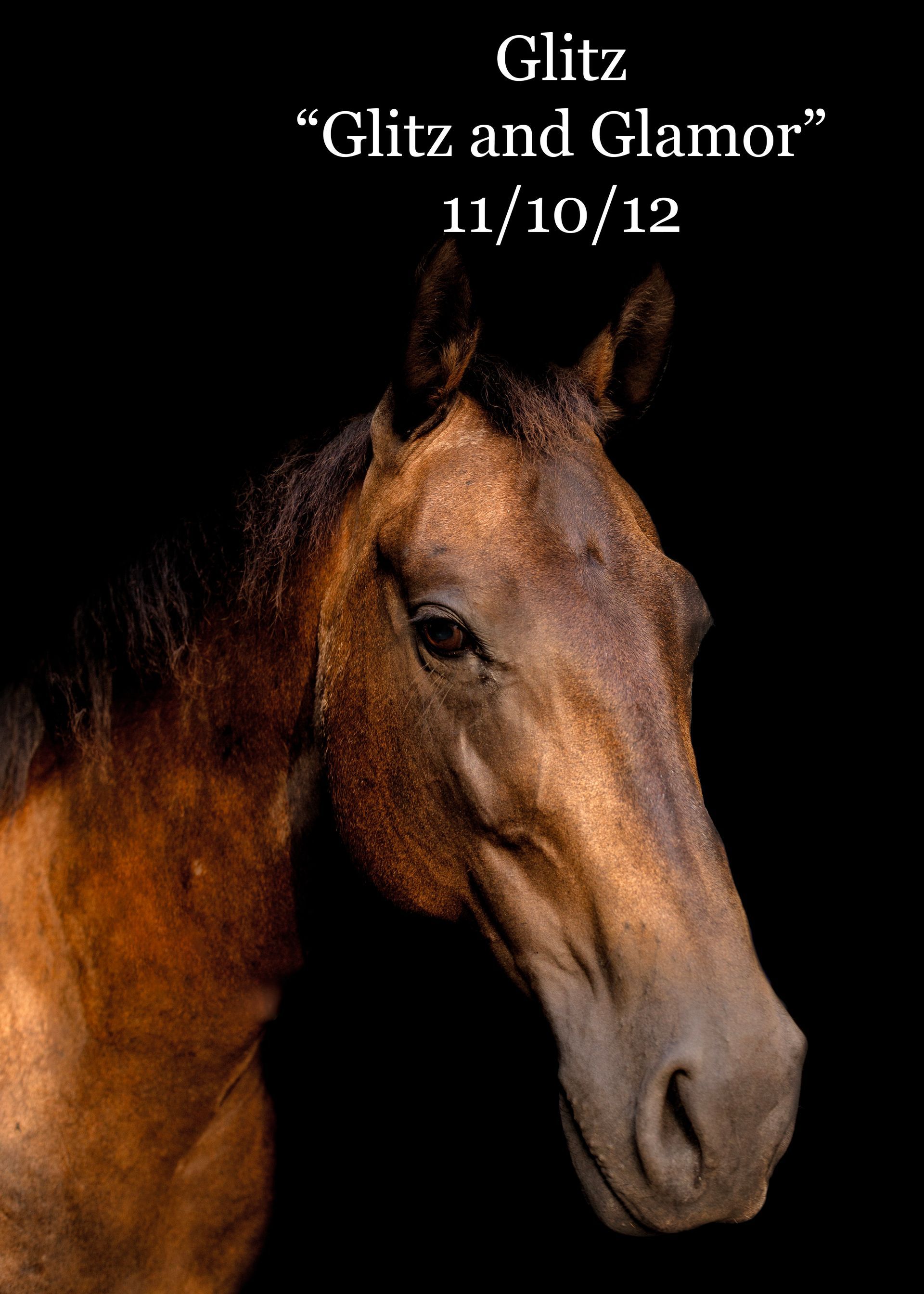 A picture of a brown horse with the words 