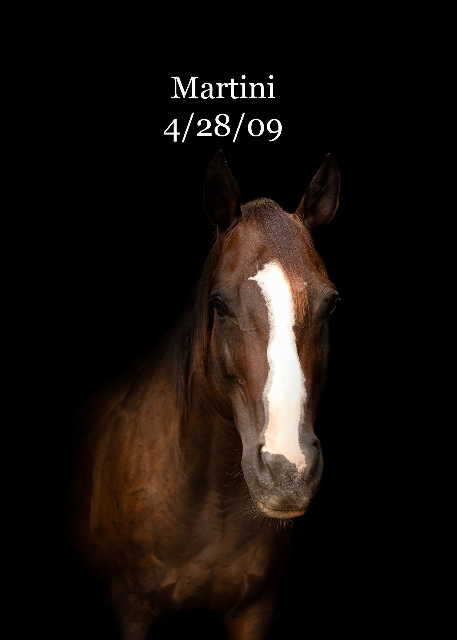 A brown horse with a white stripe on its forehead