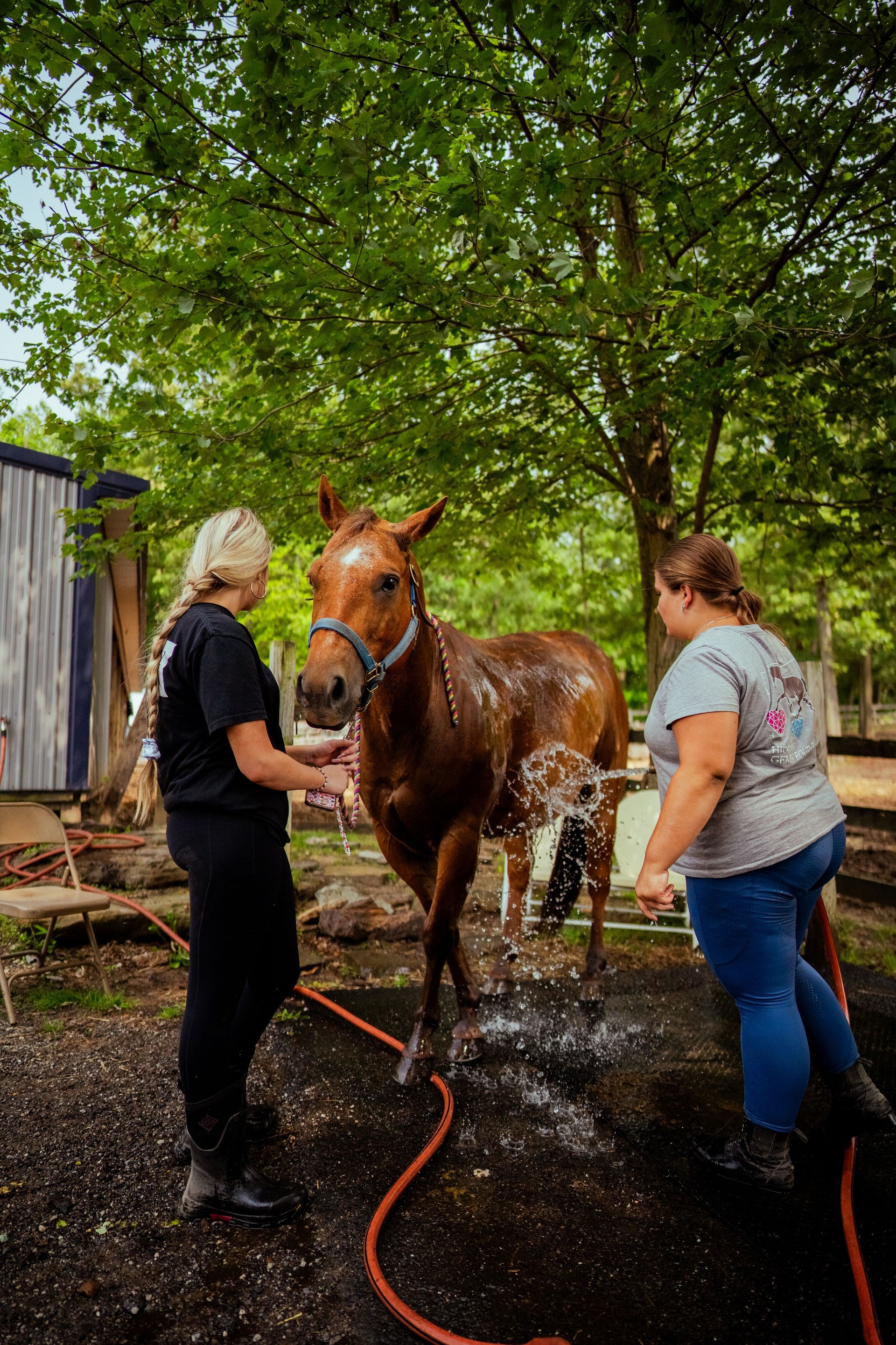 Two women are washing a horse with a hose.