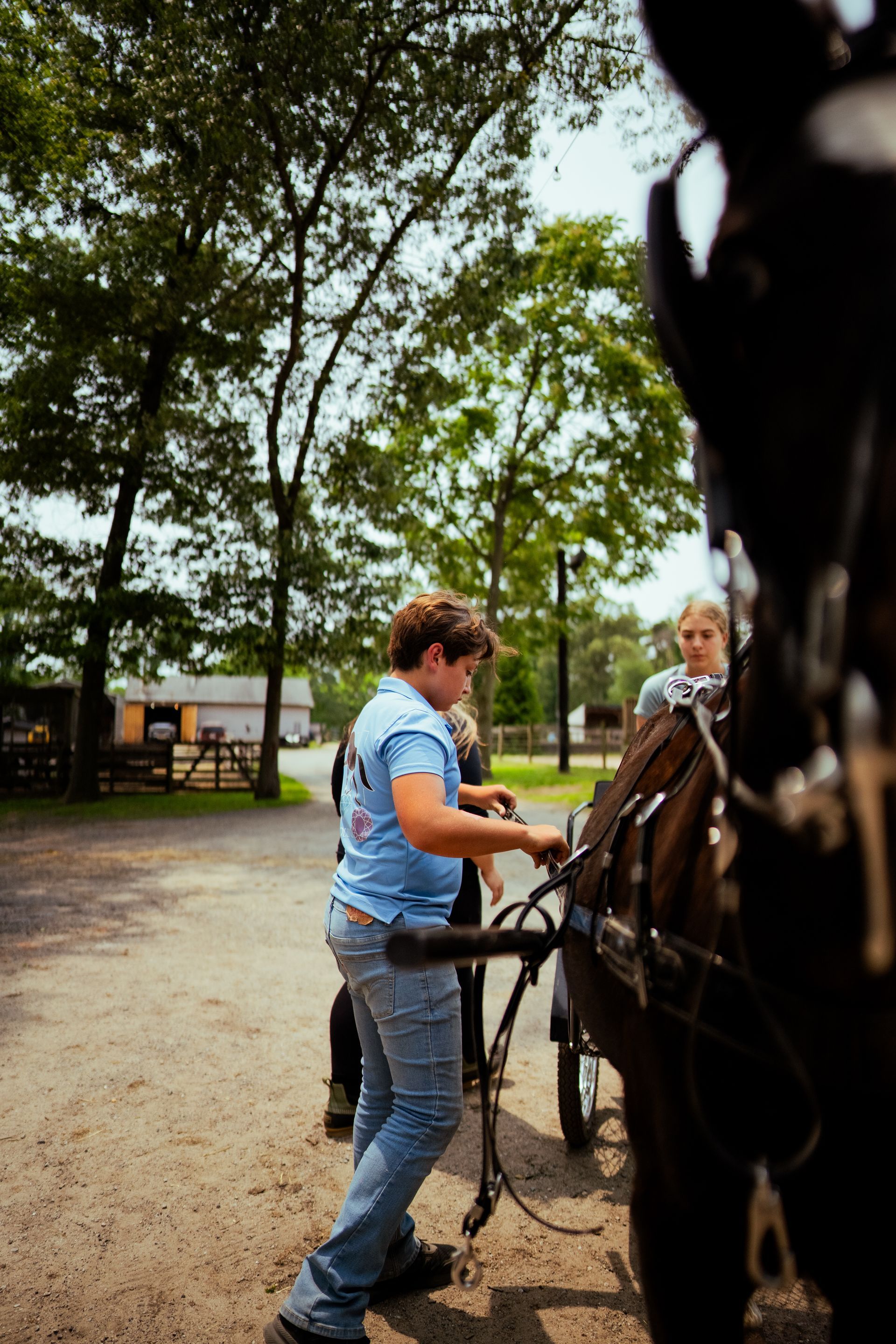 A woman in a blue shirt is working on a horse drawn carriage
