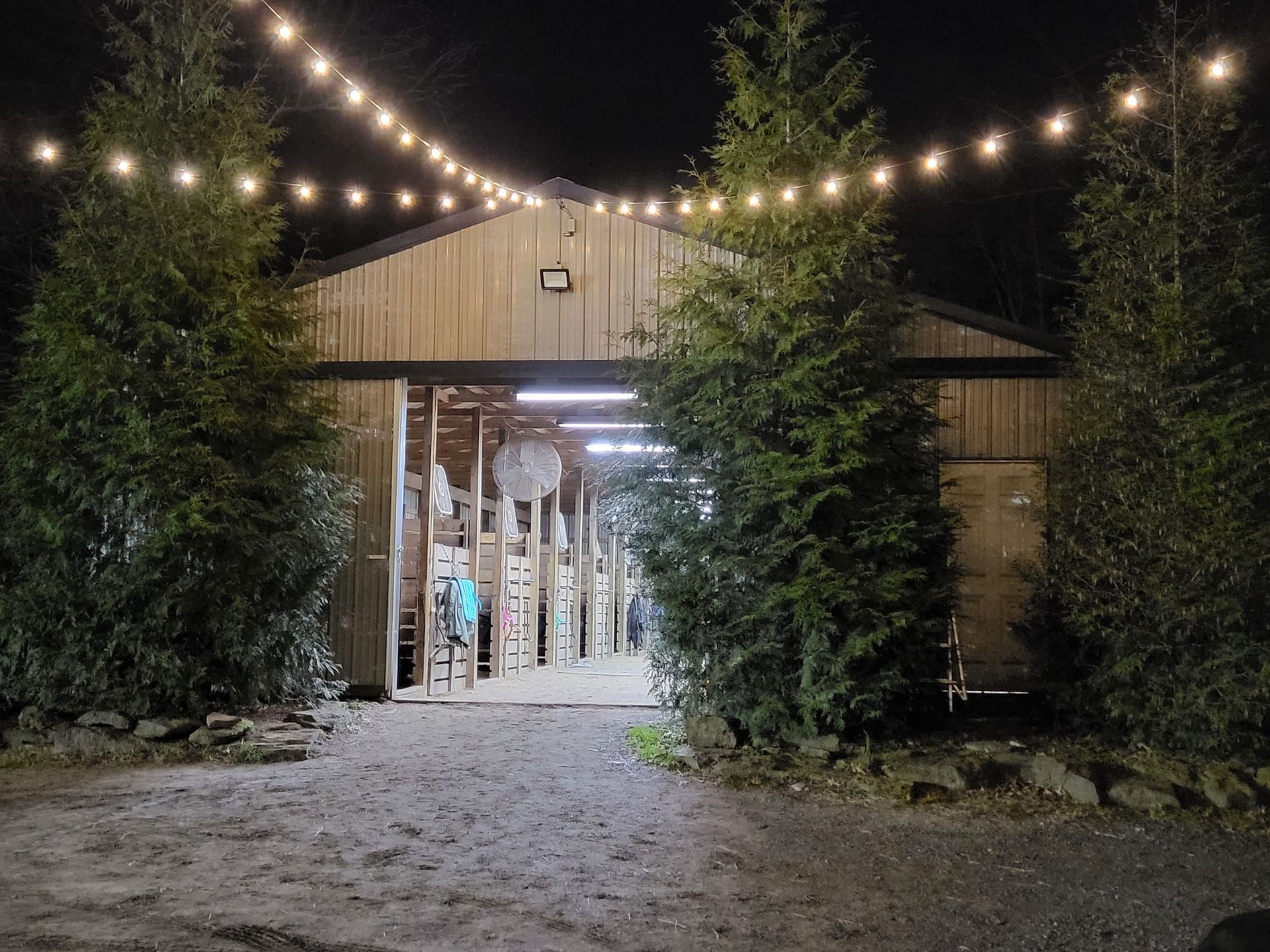 A barn with lights hanging from the ceiling and trees in front of it at night.