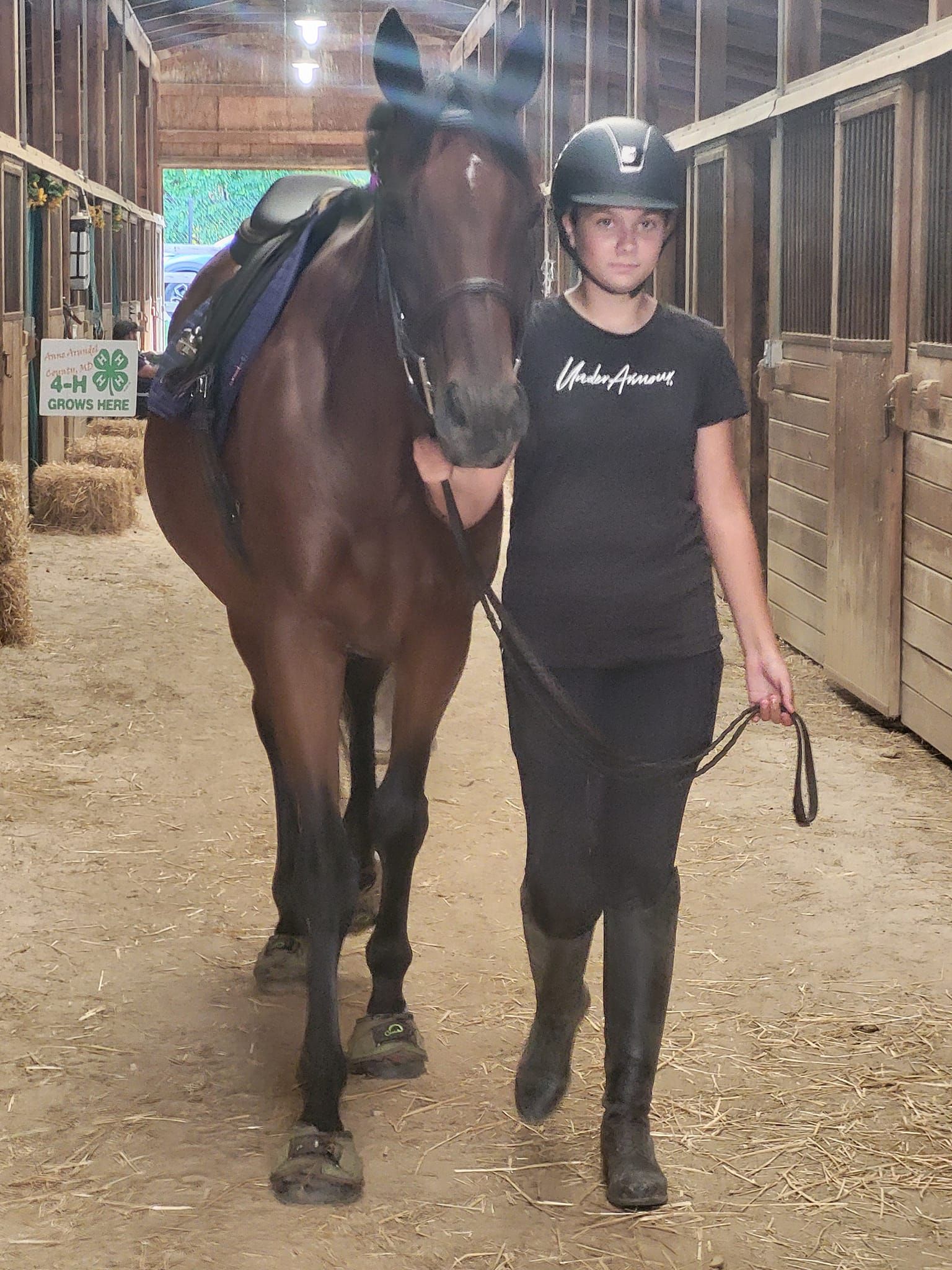 A girl is walking a brown horse in a stable.