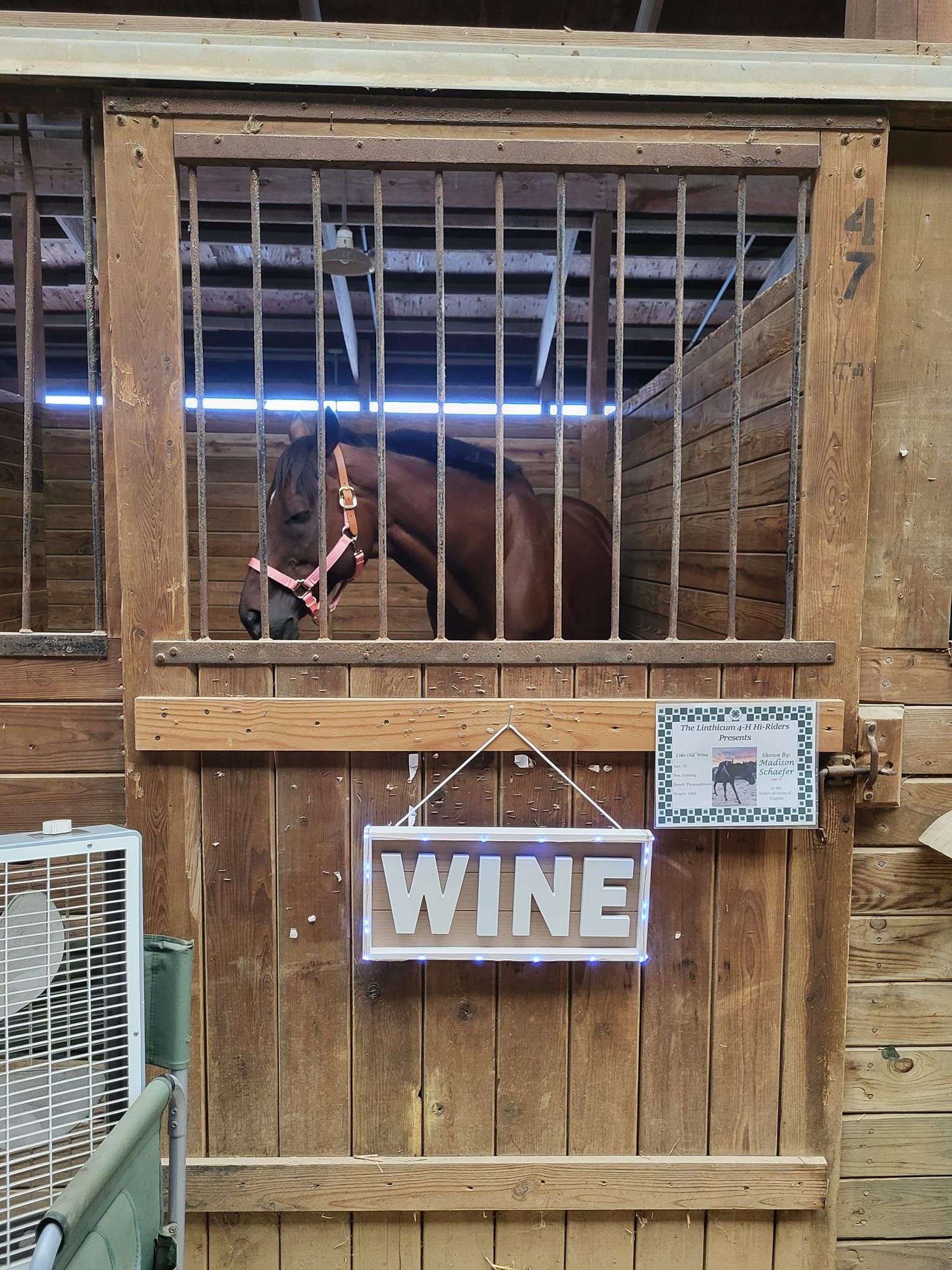 A horse in a stable with a sign that says wine