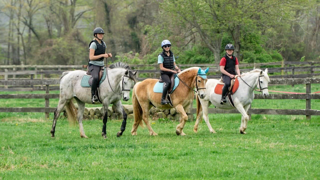 Three people are riding horses in a field.