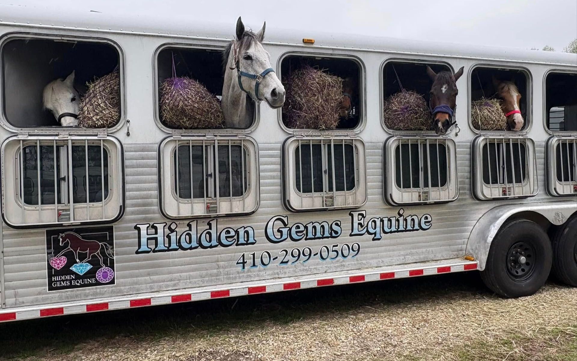 A horse trailer filled with horses and hay is parked in the dirt.