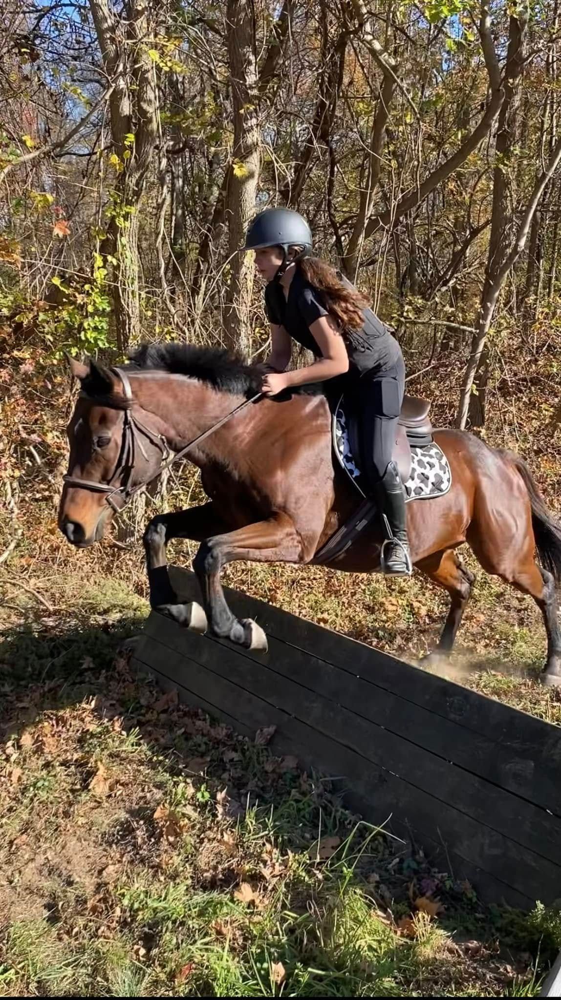 A woman is riding a horse over a jump in the woods.
