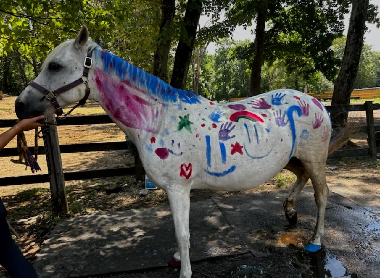 A white horse has been painted with a variety of colors.