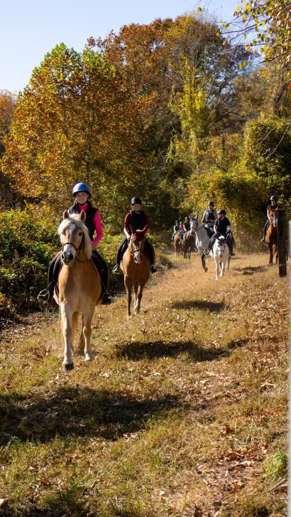 A group of people are riding horses down a dirt path.
