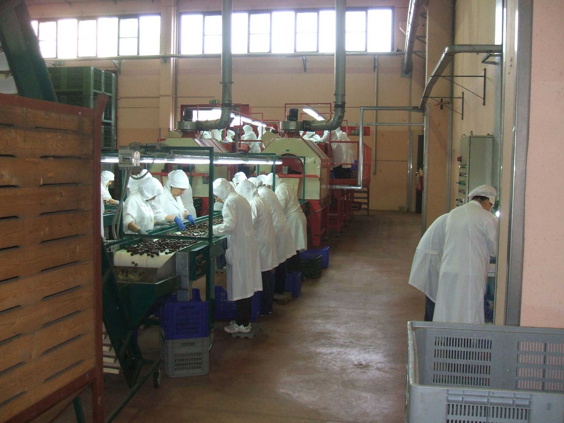 lavorazione delle castagne