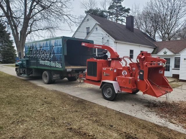 integrity tree service holland mi