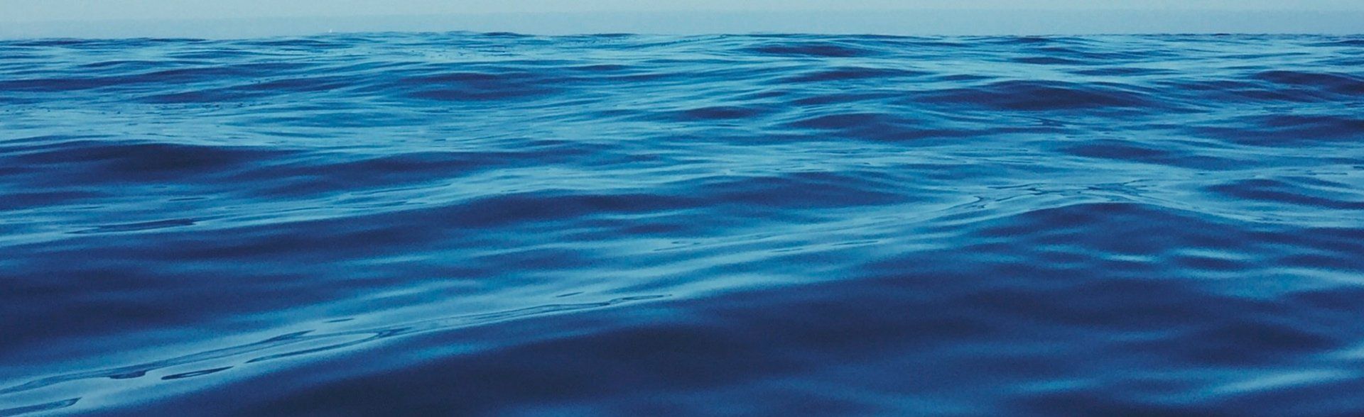 oceano blu - strategia esplorazione mercati
